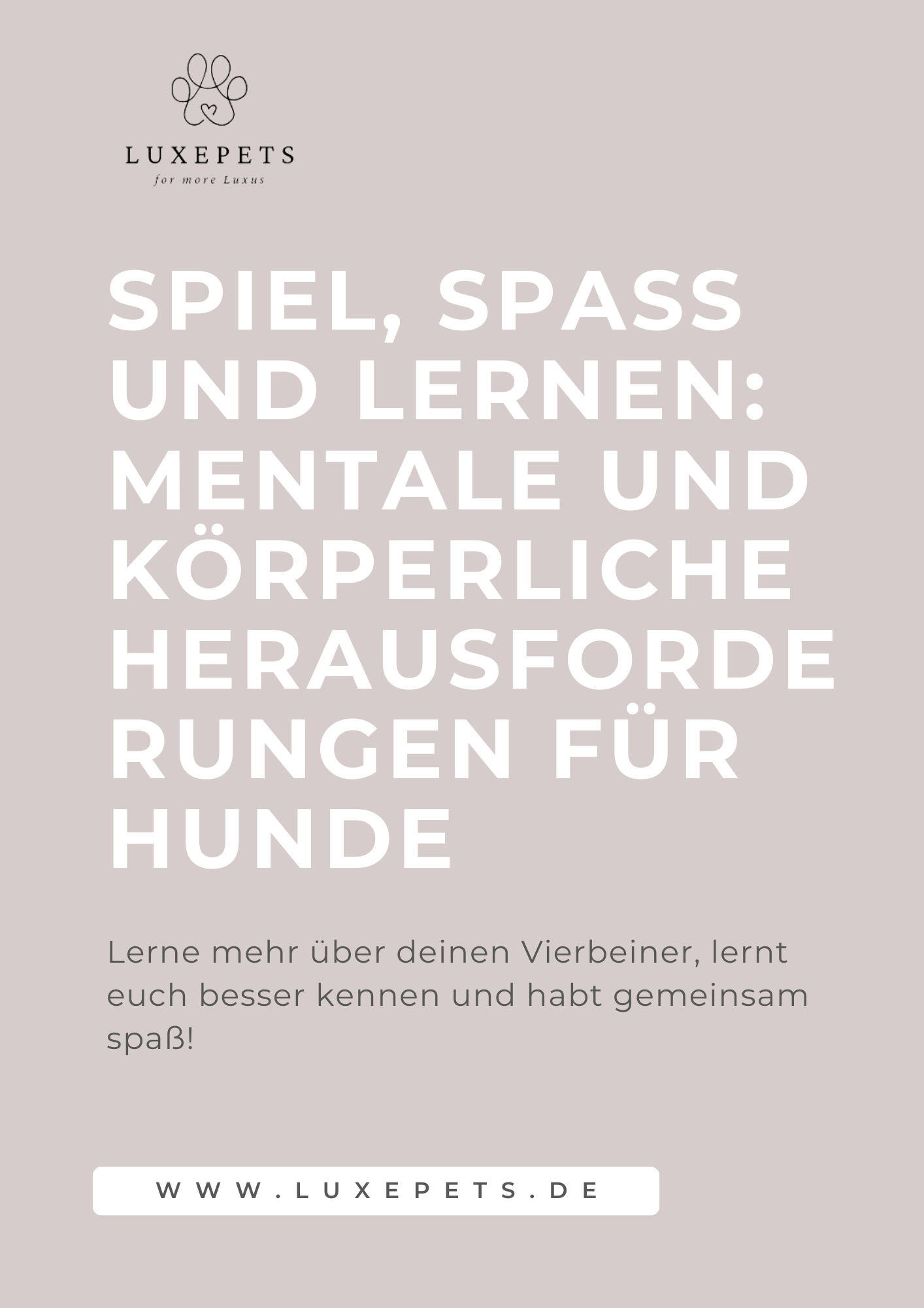 Spiel und Spaß E-Book