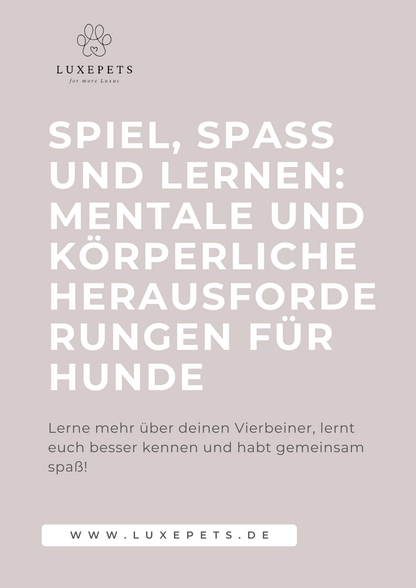 Spiel und Spaß E-Book