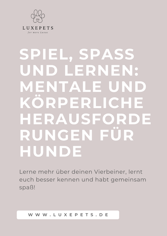Spiel und Spaß E-Book