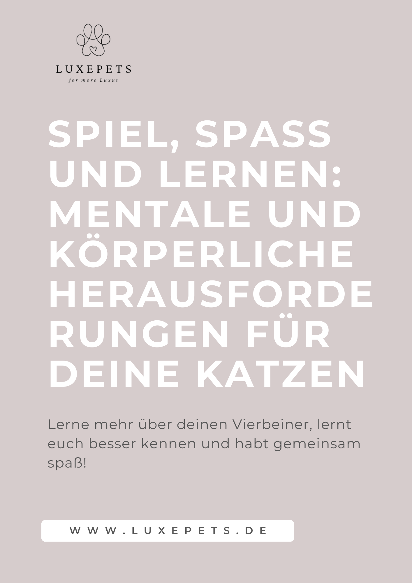 Spiel und Spaß E-Book