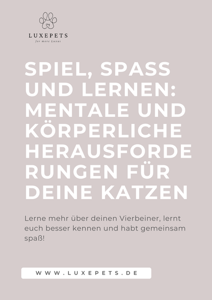 Spiel und Spaß E-Book
